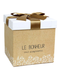 Valisette vide "Le bohneur tout simplement"